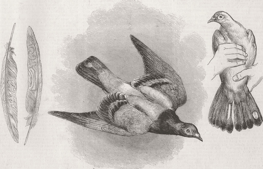 FRANCE. Paris by Balloon Post. New letter carrier 1870 old antique print